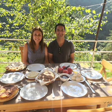 Guesthouse Gama In Khevsureti Roshka Bagian luar foto