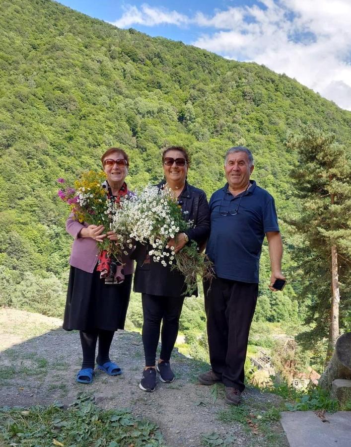 Guesthouse Gama In Khevsureti Roshka Bagian luar foto