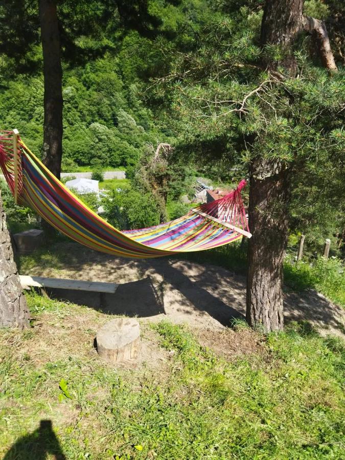 Guesthouse Gama In Khevsureti Roshka Bagian luar foto