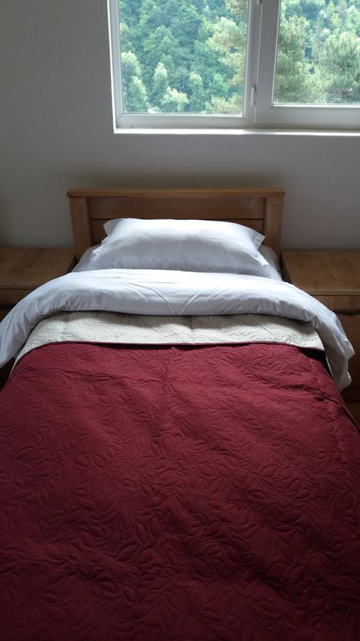 Guesthouse Gama In Khevsureti Roshka Bagian luar foto