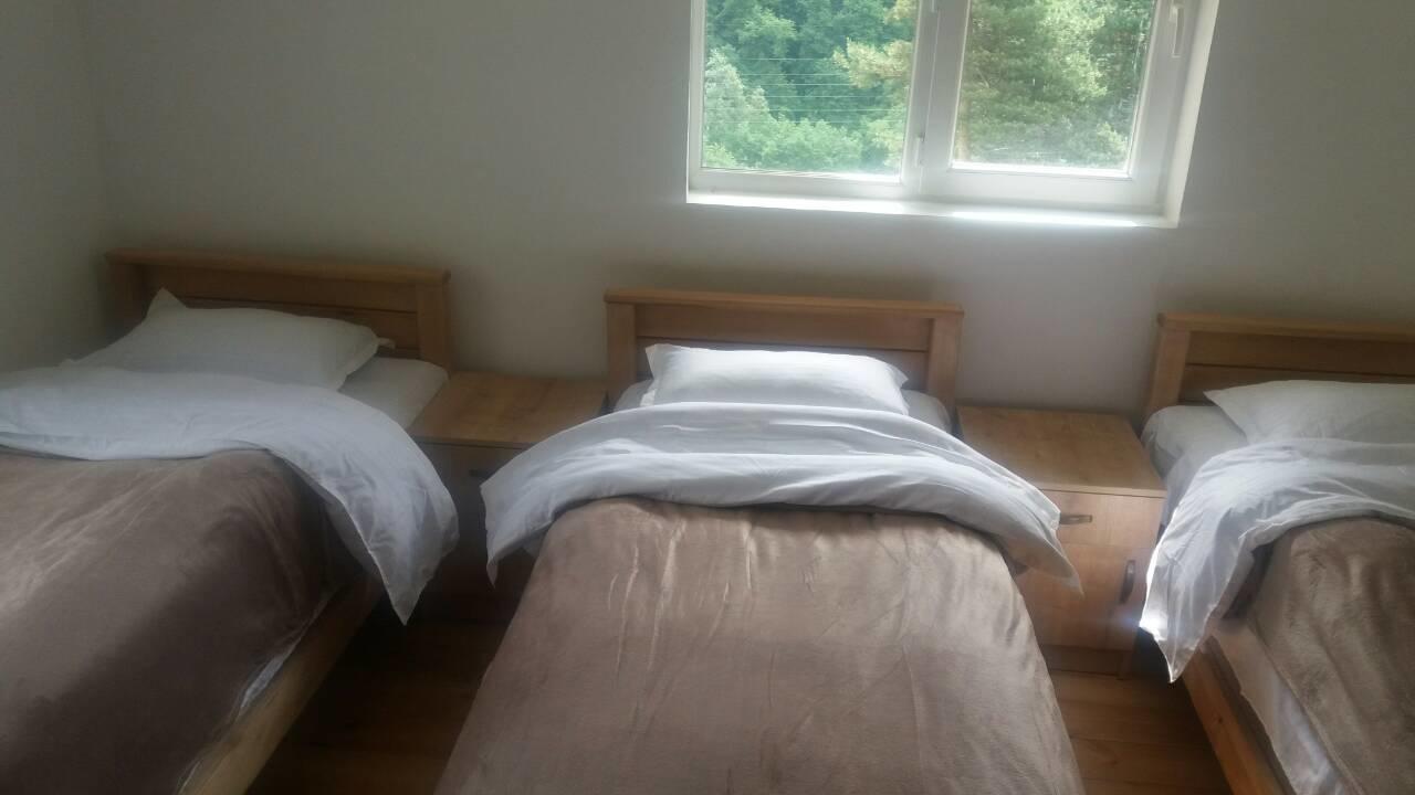 Guesthouse Gama In Khevsureti Roshka Bagian luar foto