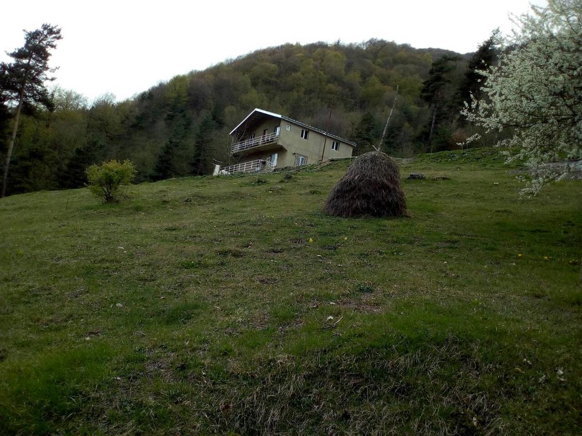Guesthouse Gama In Khevsureti Roshka Bagian luar foto