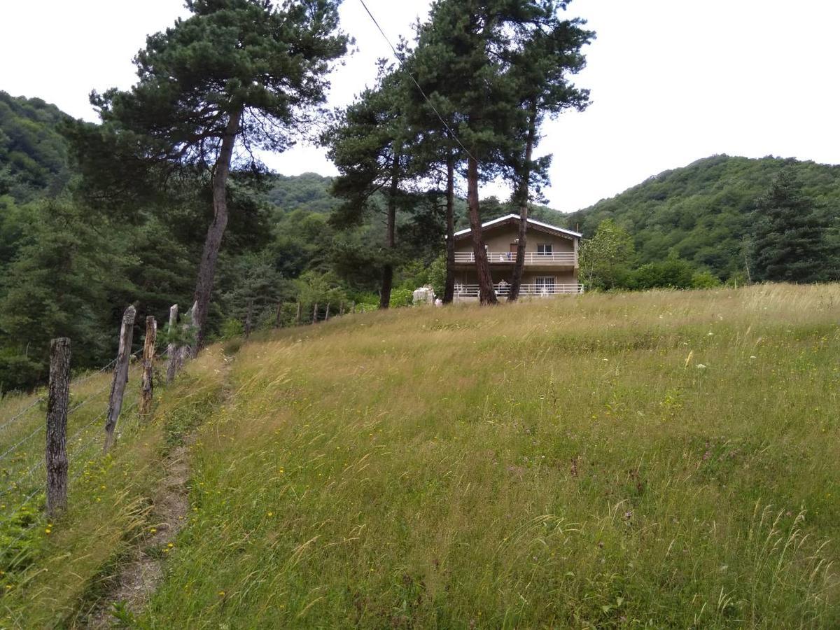 Guesthouse Gama In Khevsureti Roshka Bagian luar foto