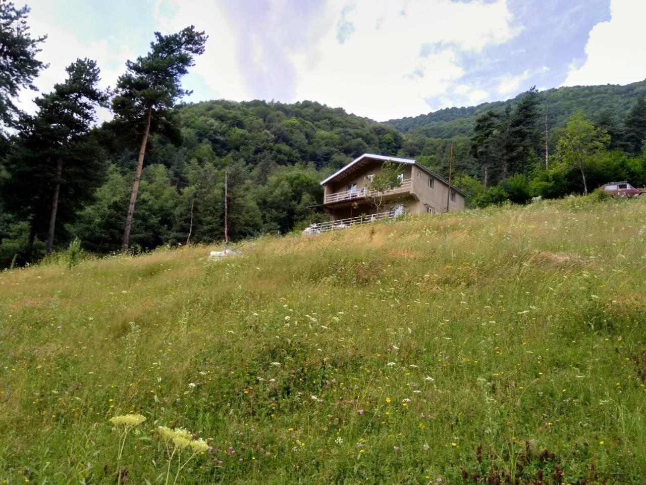 Guesthouse Gama In Khevsureti Roshka Bagian luar foto