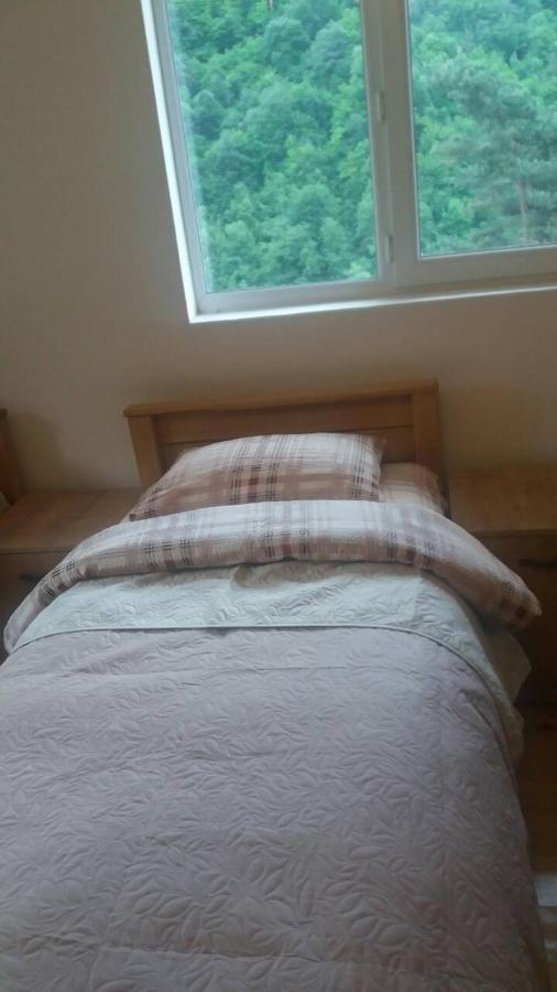 Guesthouse Gama In Khevsureti Roshka Bagian luar foto